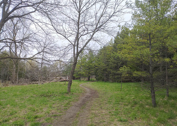 Preservation Park Trails: Tail End