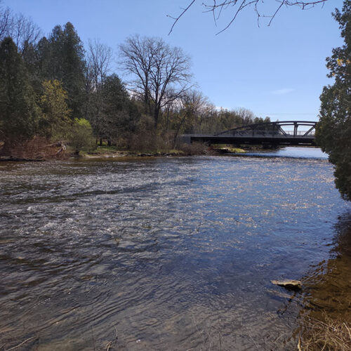 Speed River Trail: Bridge View