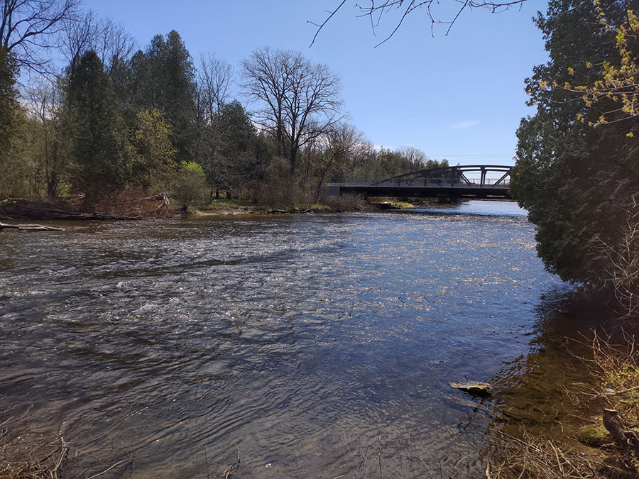 Speed River Trail: Bridge View