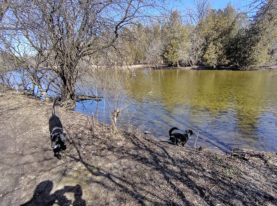 Fielder leading Dart: Speed River Trail