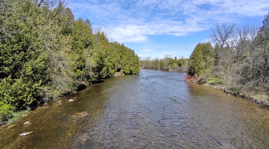 Speed River Trail: Bridge View