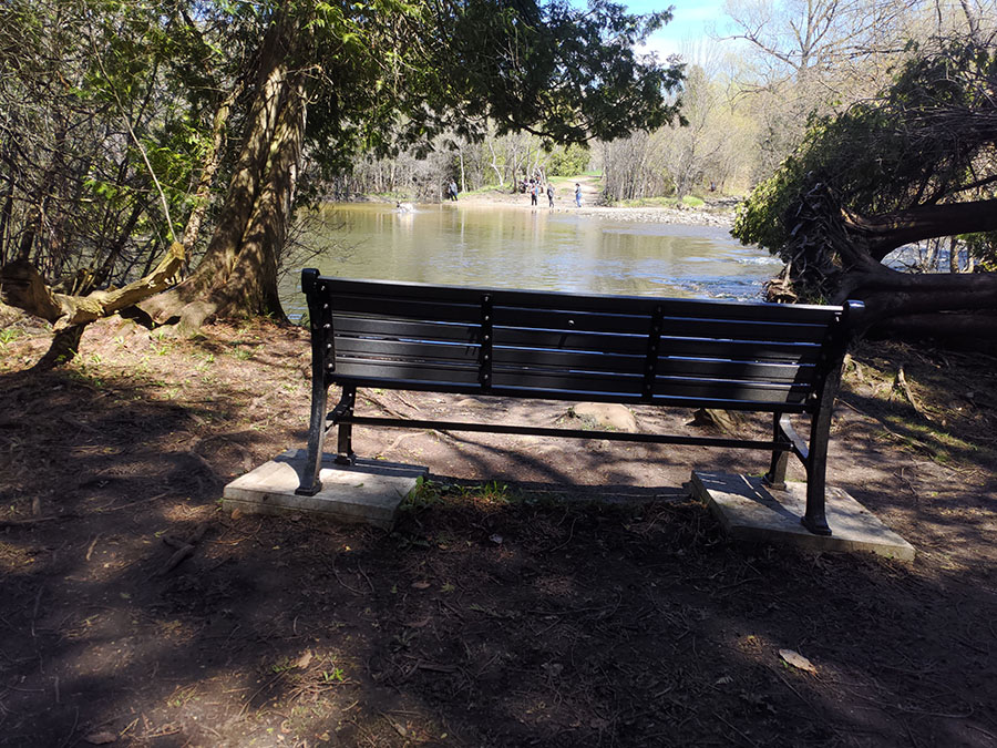 Speed River Trail Bench