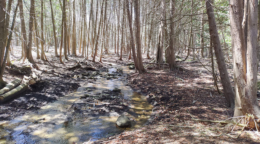 Speed River Trail water runway