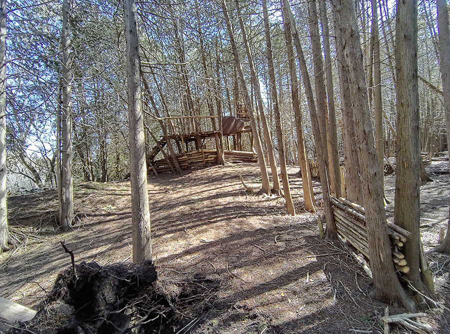 Speed River Trail: Hidden Structures